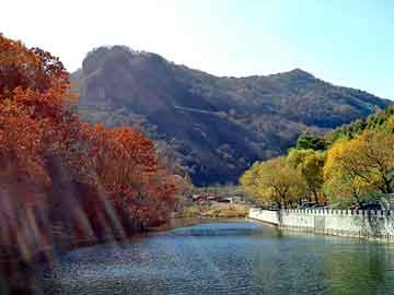 管家婆黑白马报图库，泸市